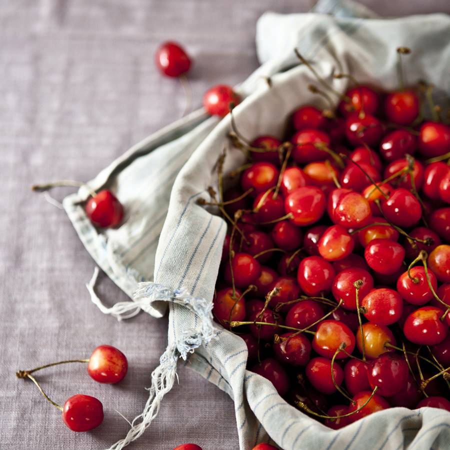 Cómo hacer tu propio cojín de huesos de cereza