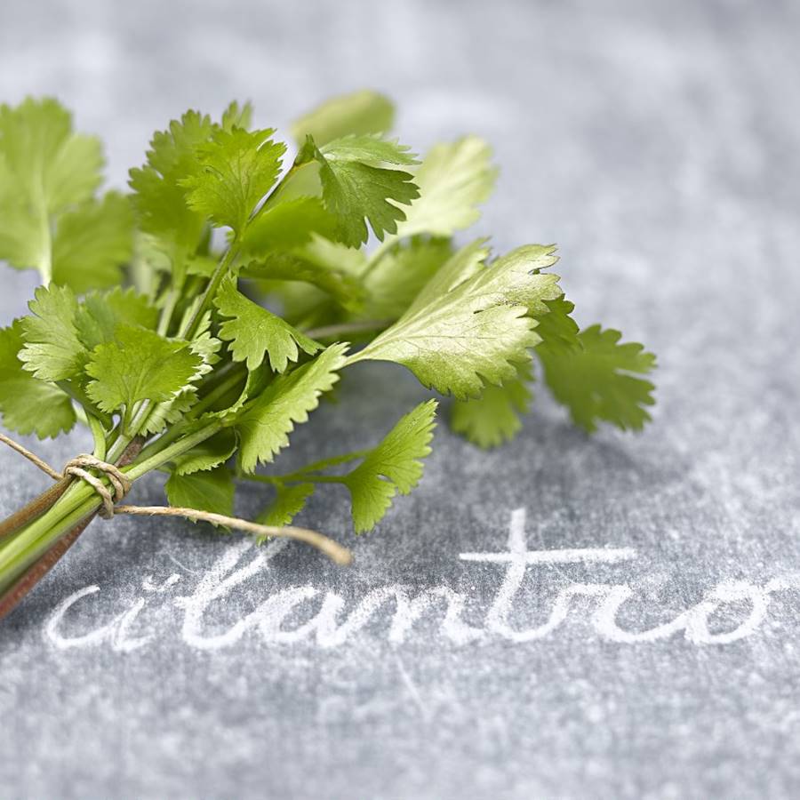 7 plantas aromáticas muy digestivas para tus recetas 