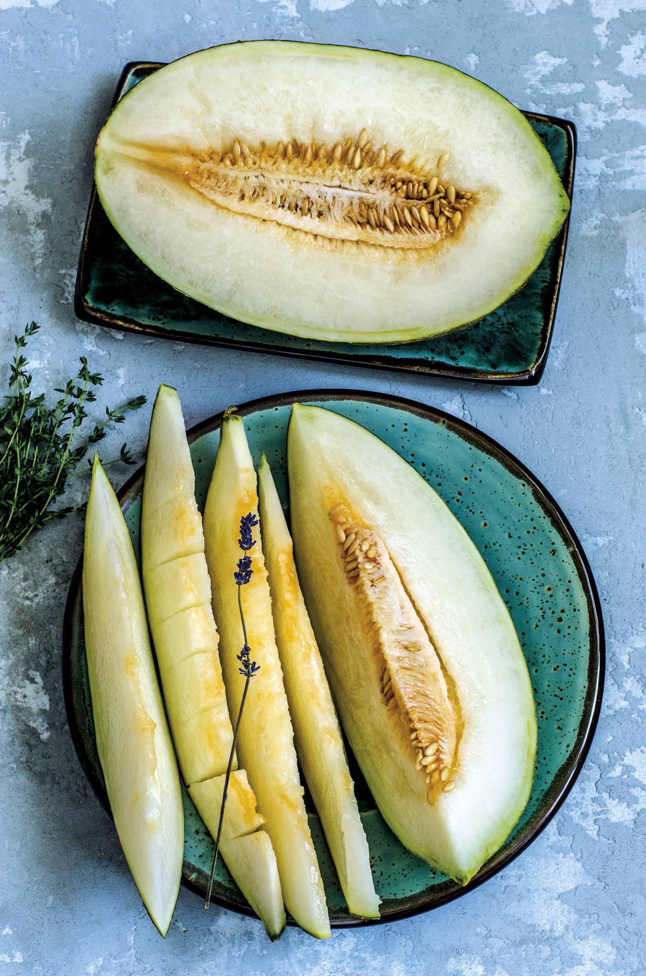 melón