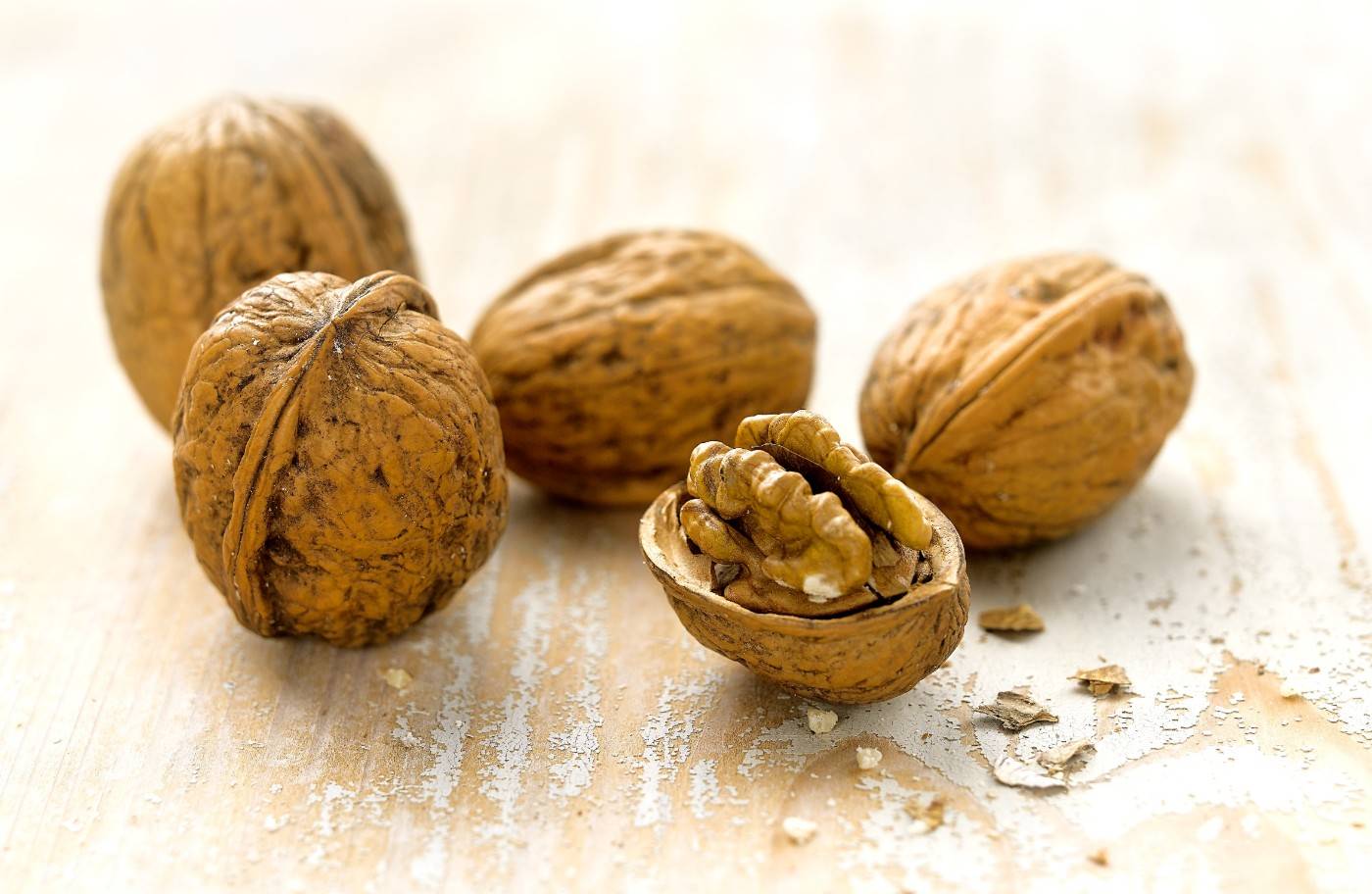 NUECES (1)