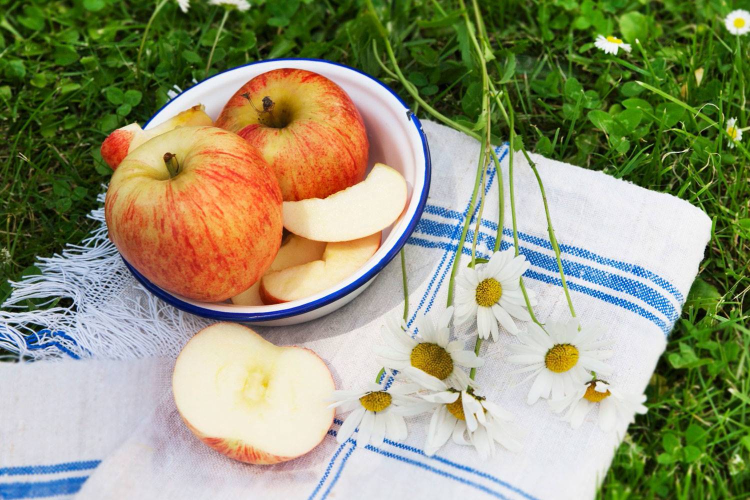 snacks-saludables-para-viajes-fruta