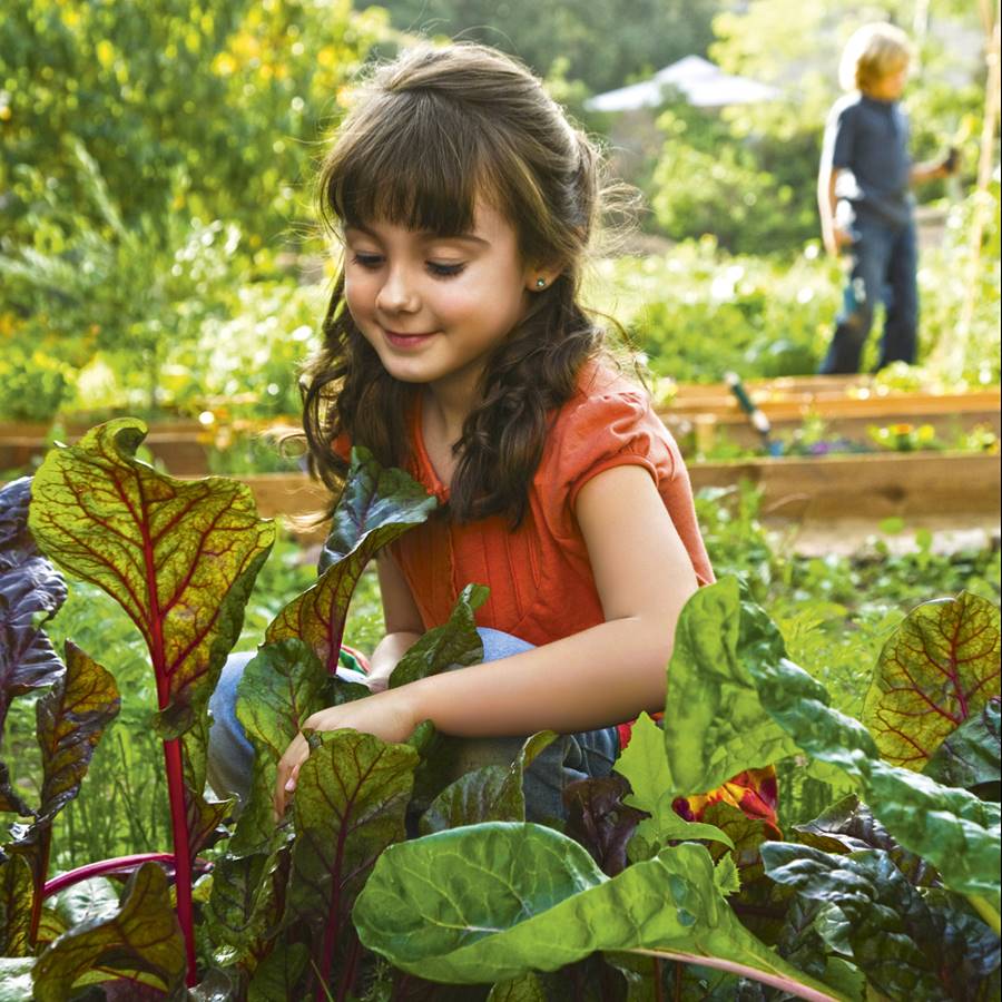 dieta planeta niña