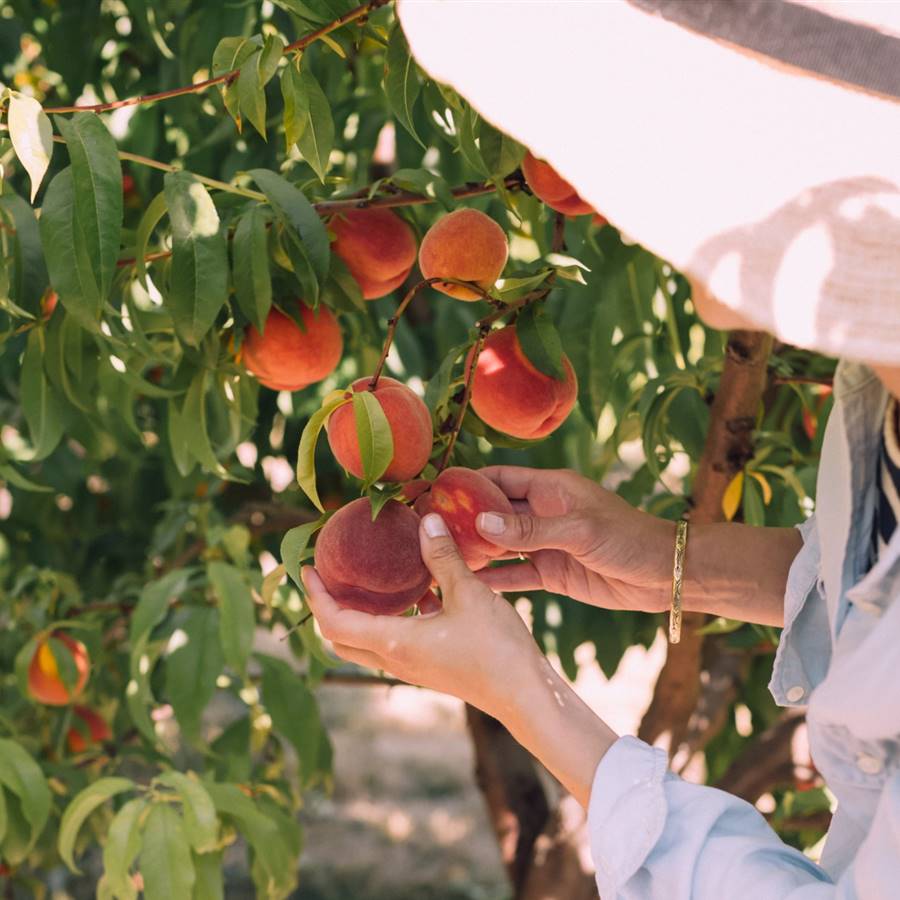 Dieta alcalina: ¿por qué funciona?