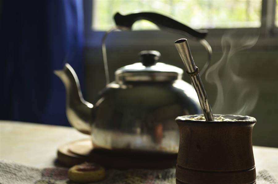 Yerba mate