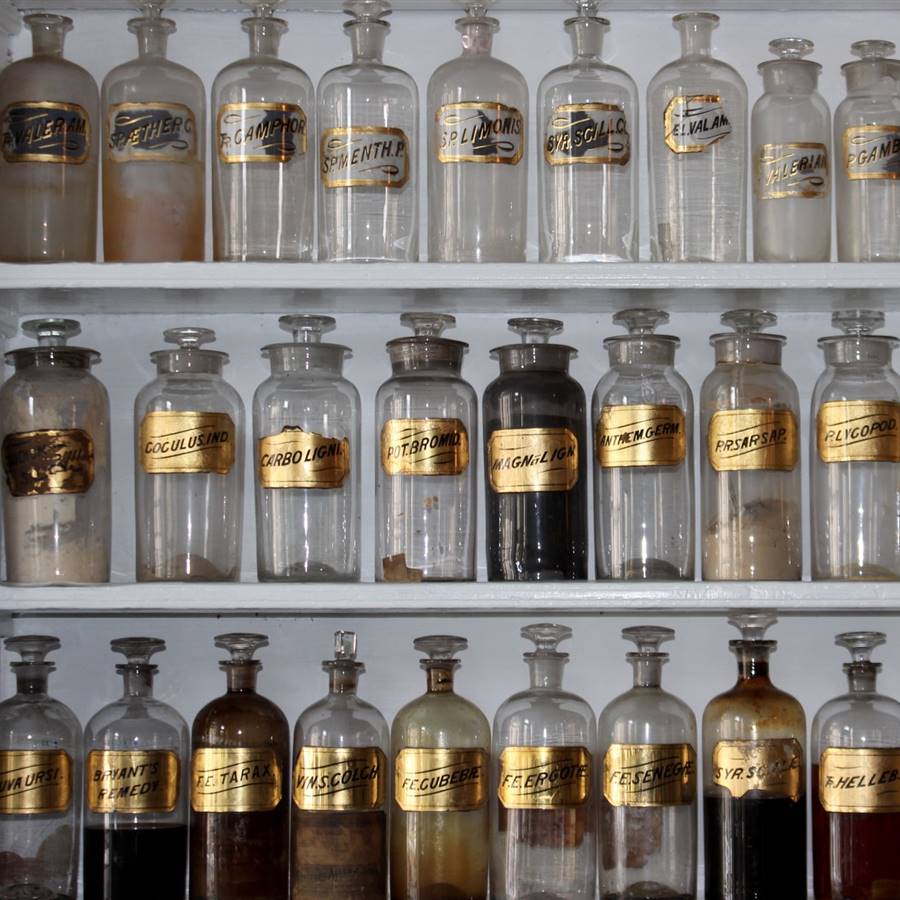 Un remedio natural milenario podría ser eficaz contra bacterias resistentes