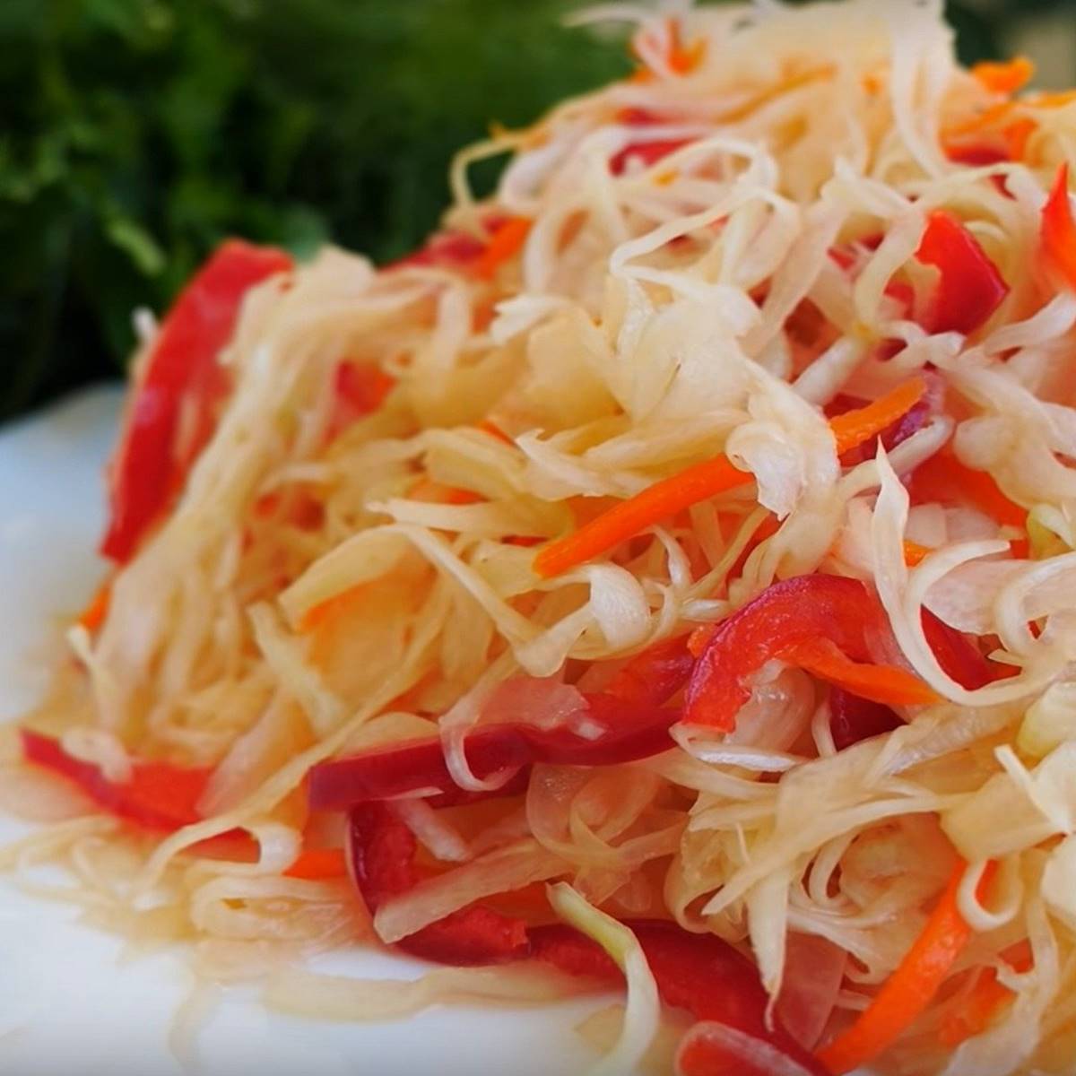 sauerkraut