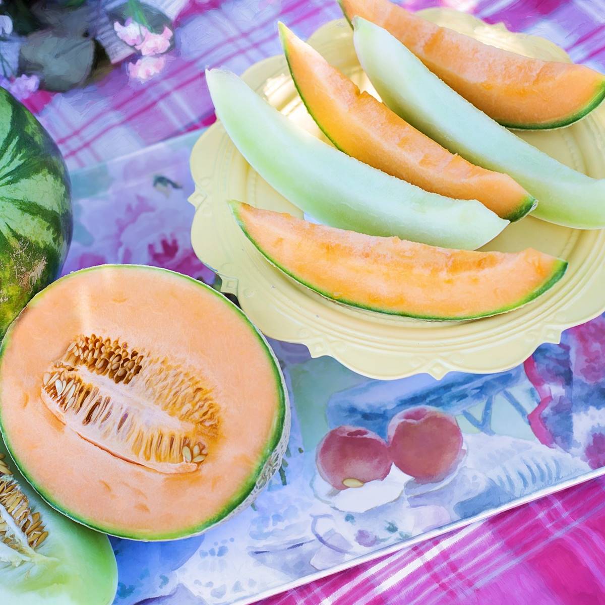 variedades de melones