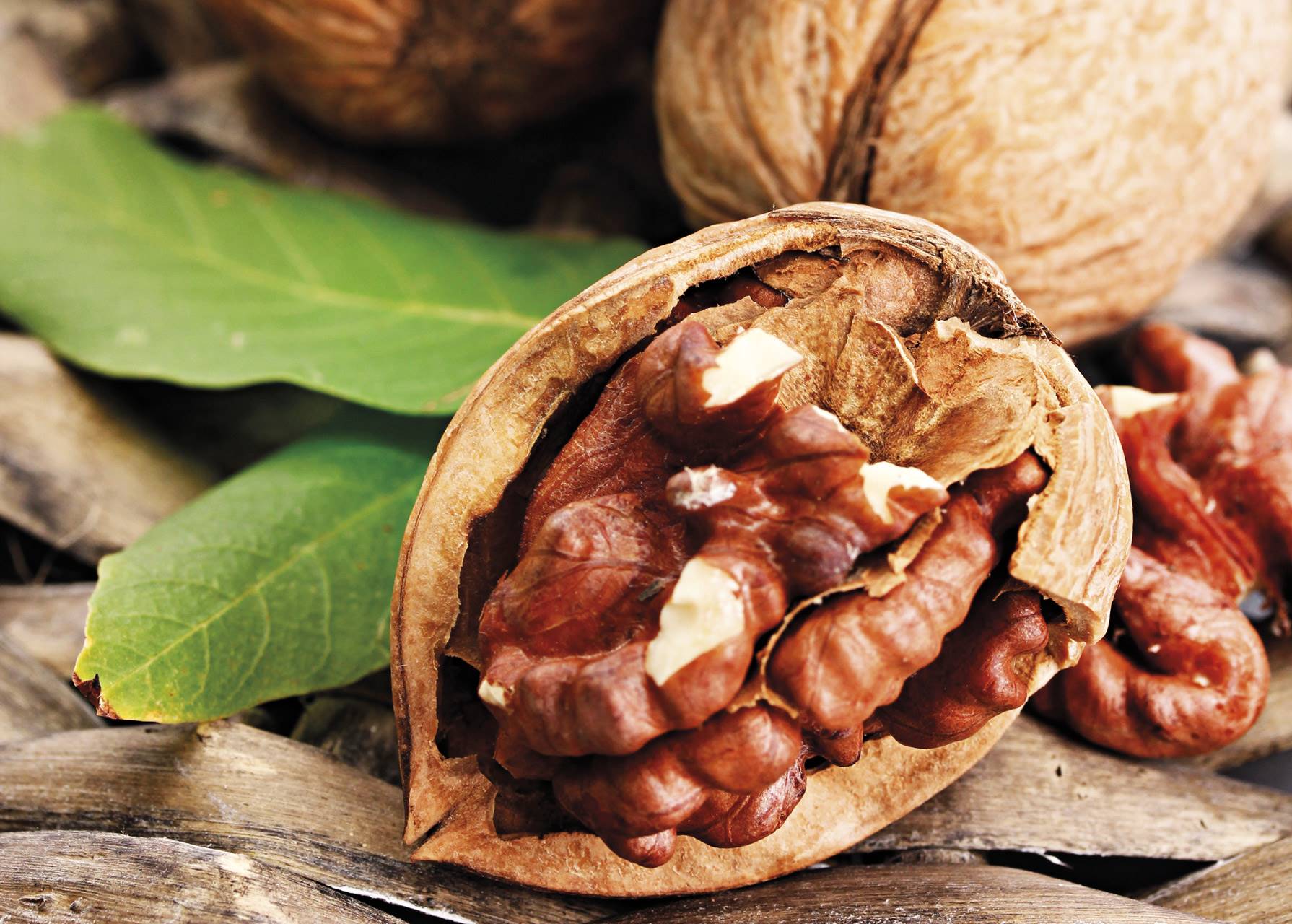 nueces