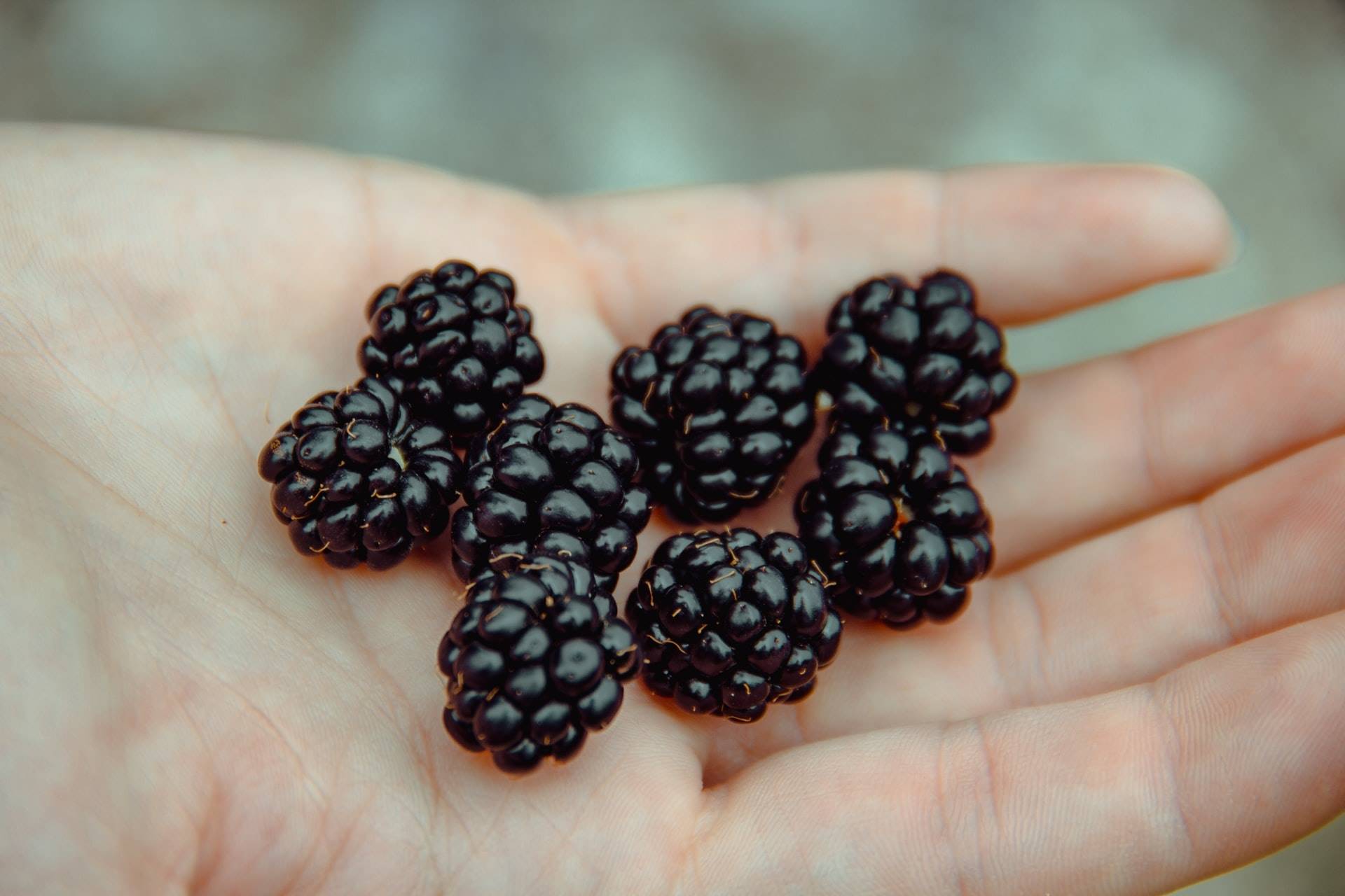 moras
