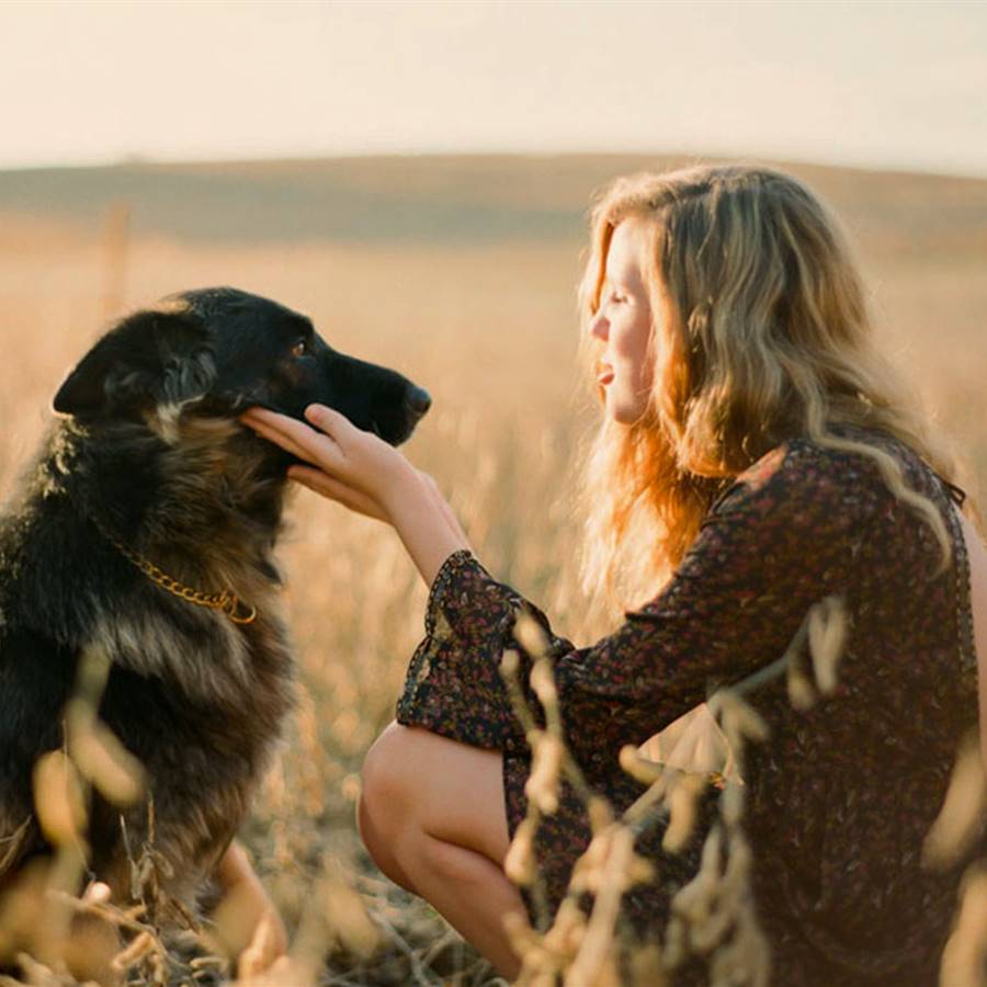 4 ventajas emocionales de convivir con perros