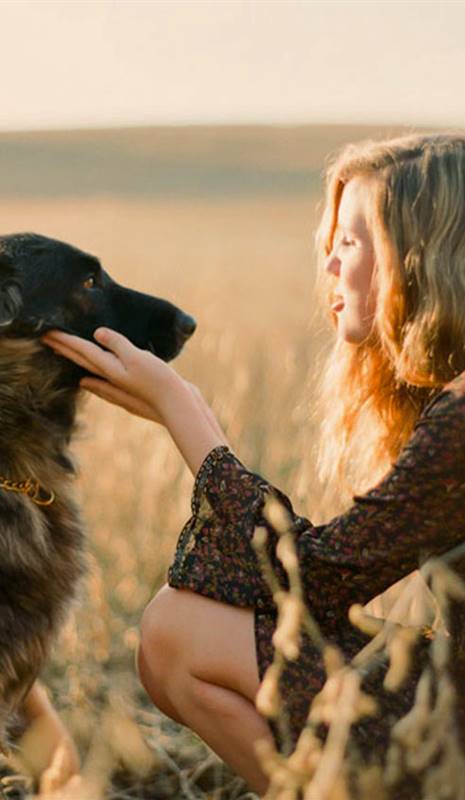 4-ventajas-emocionales-convivir-con-perros