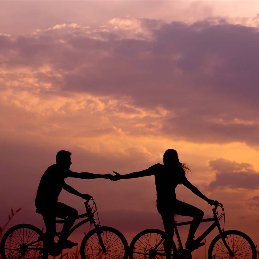 bicicletas