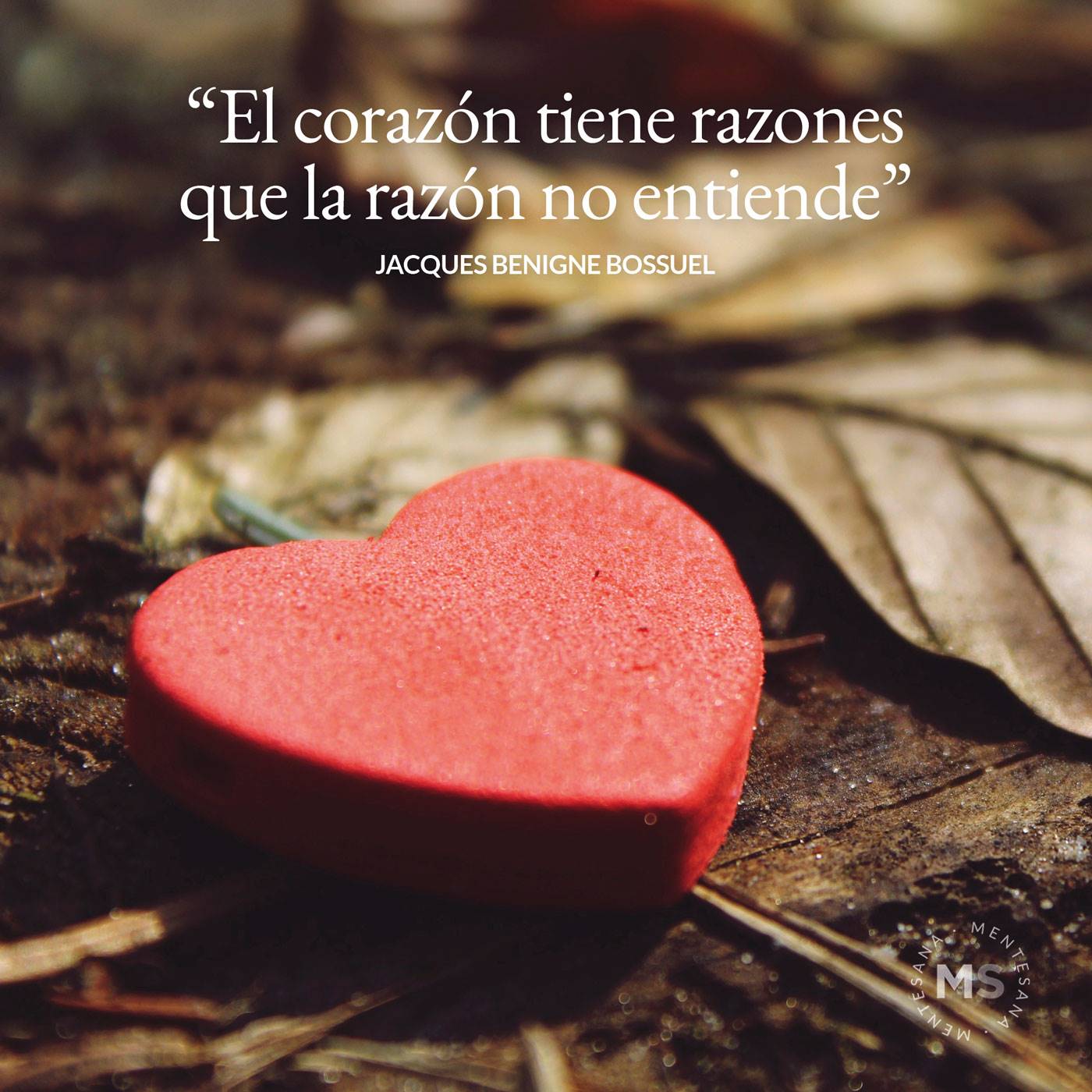 25 frases de sentimientos y emociones que deberías conocer