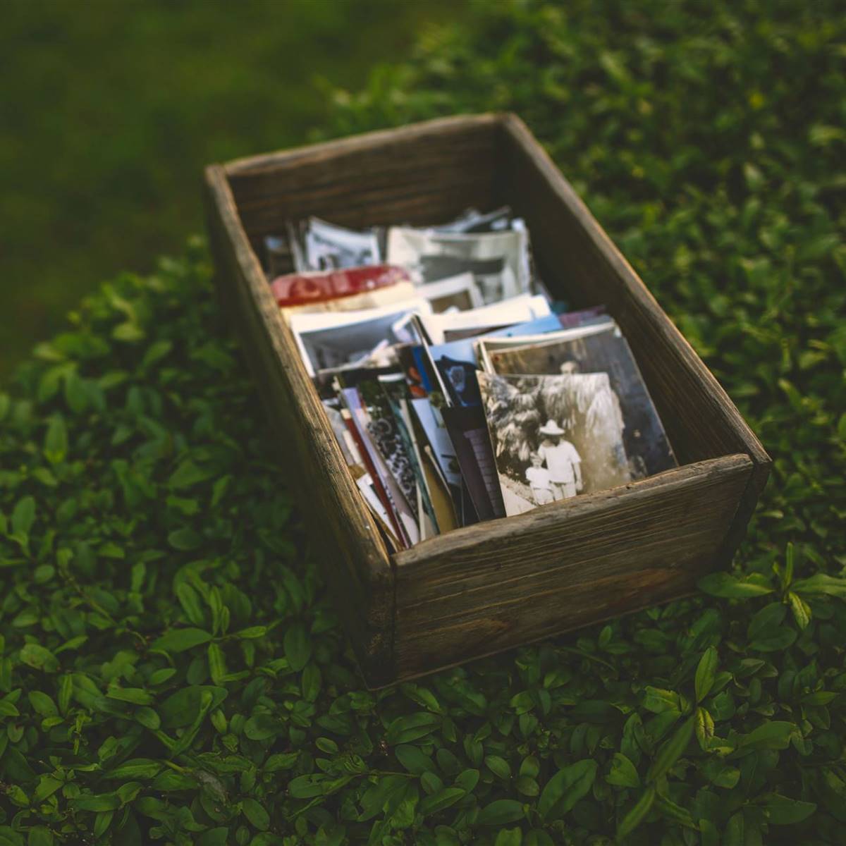 abrir caja de los recuerdos en terapia