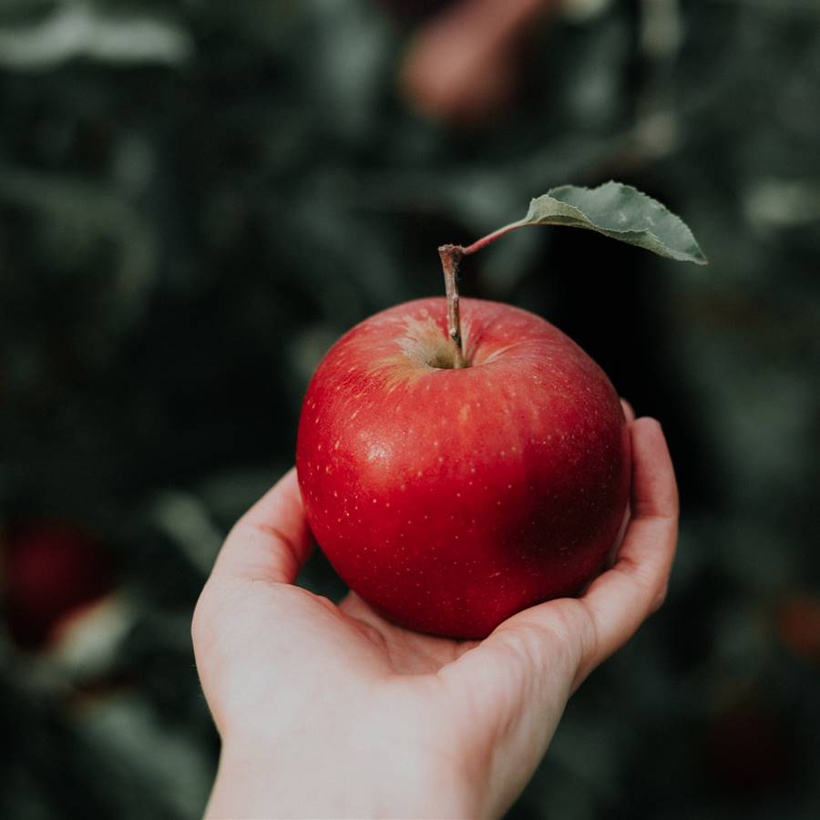 Frutas y hortalizas también contienen microplásticos