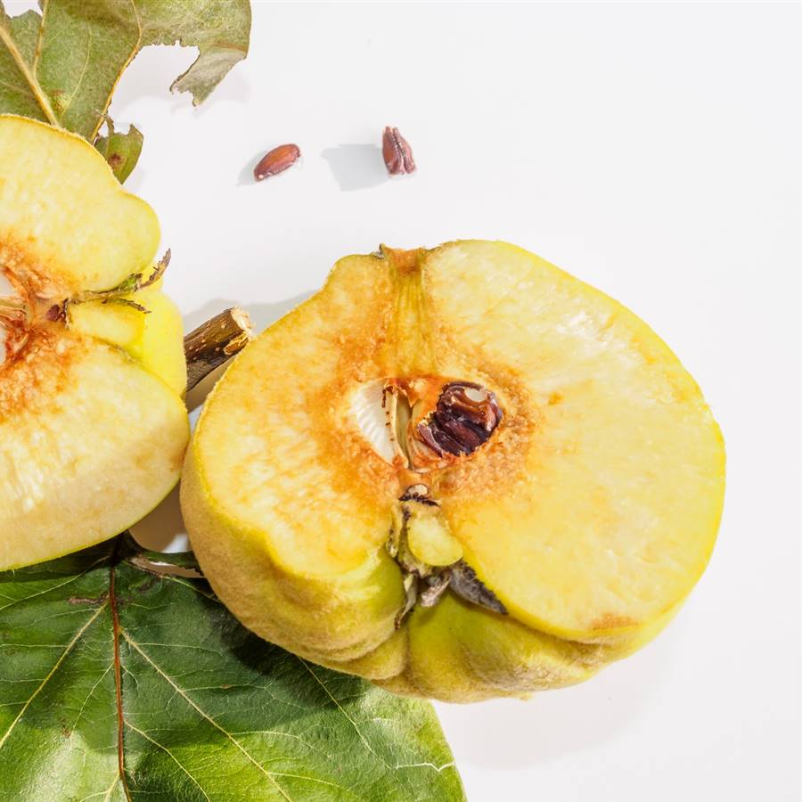 Descubre las virtudes del gel de pepitas de membrillo