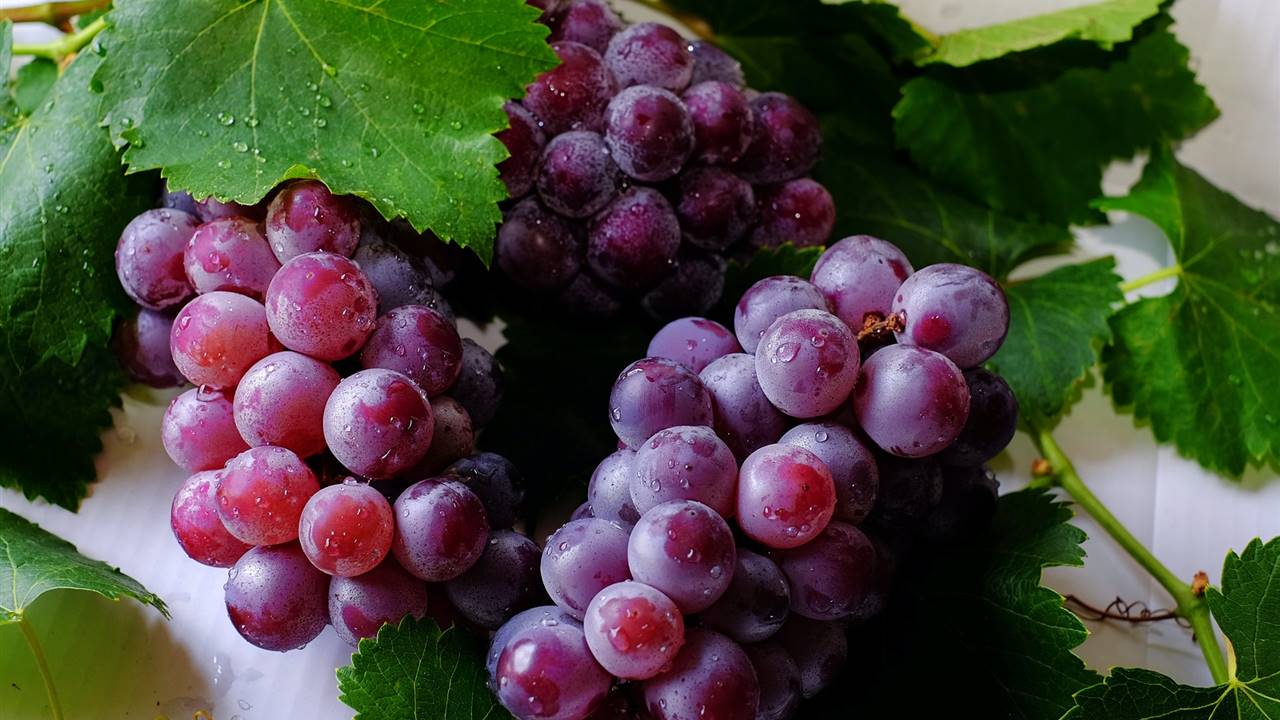 Las propiedades del resveratrol y cómo tomarlo