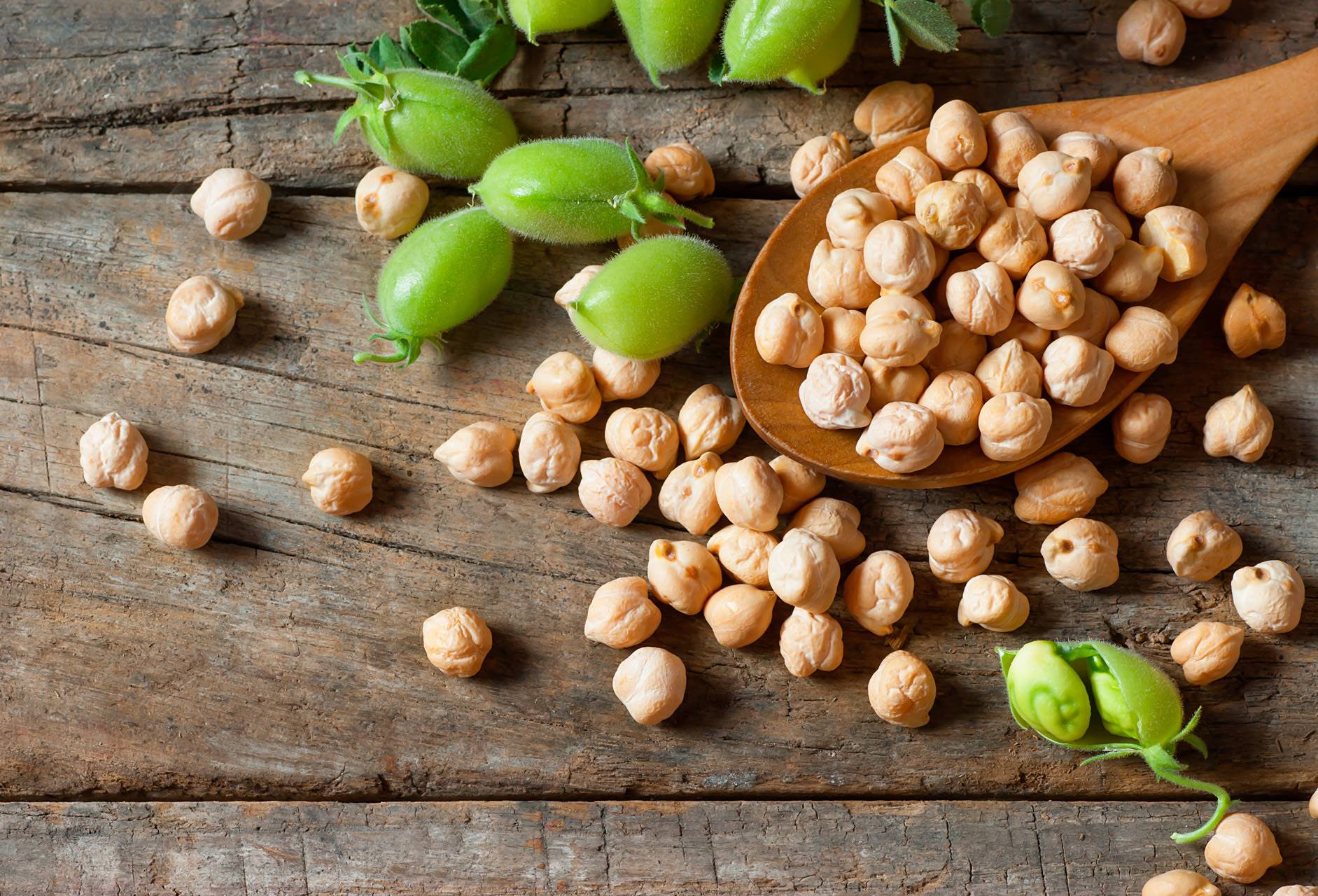 shutterstock garbanzos