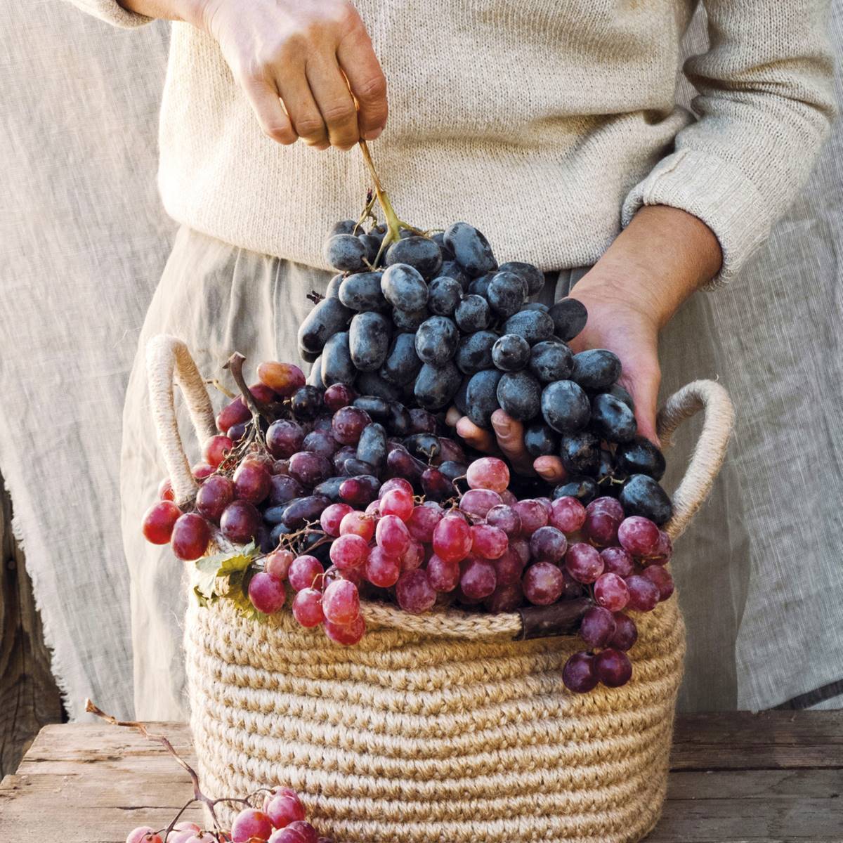 uvas