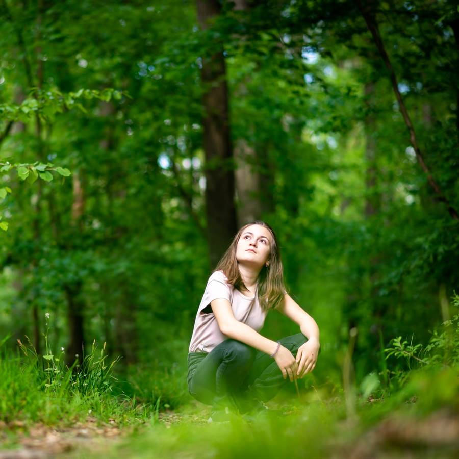 Por qué los árboles y el bosque favorecen nuestra salud