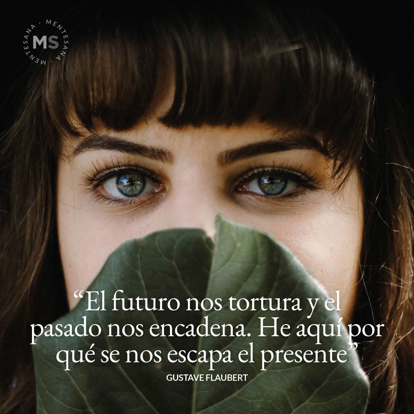 7 frases para leer ahora... y aprovechar el momento 7 frases para leer ahora... y aprovechar el momento