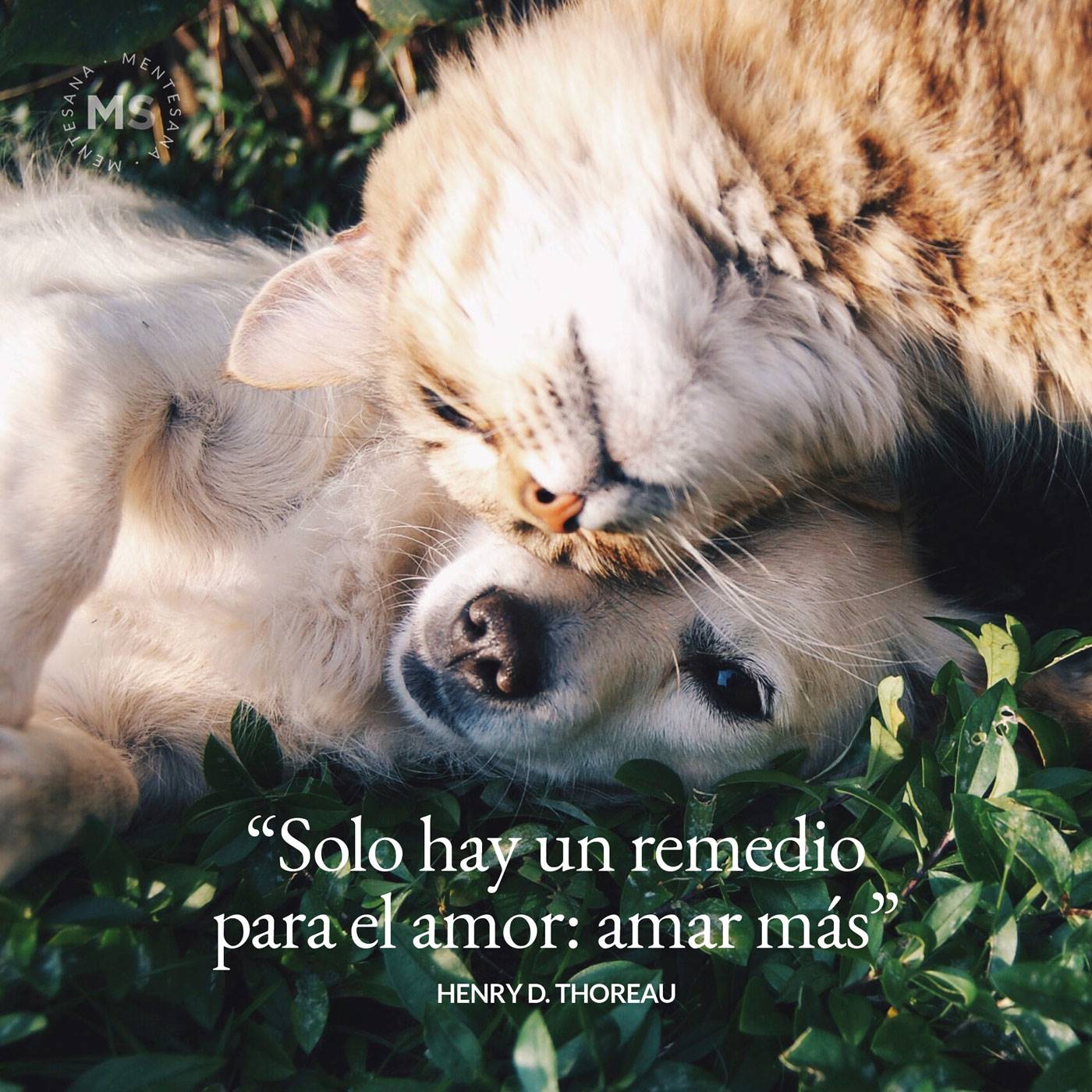 9-FRASES-APRENDER-AMAR-FOTO+TEXTO3