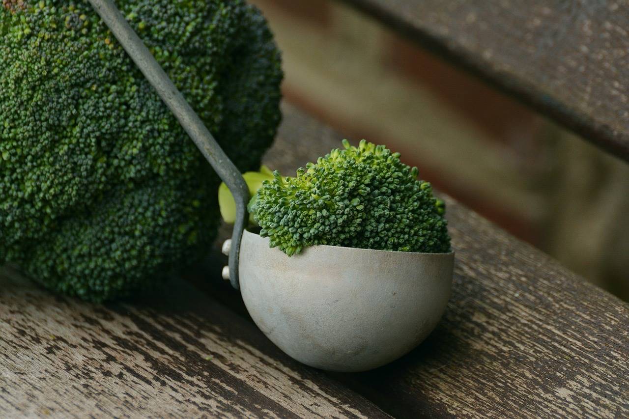 broccoli-1974801 1280. Brócoli: con azufre beneficioso