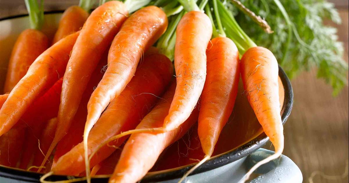Zanahoria: propiedades, beneficios para la salud y valor nutricional
