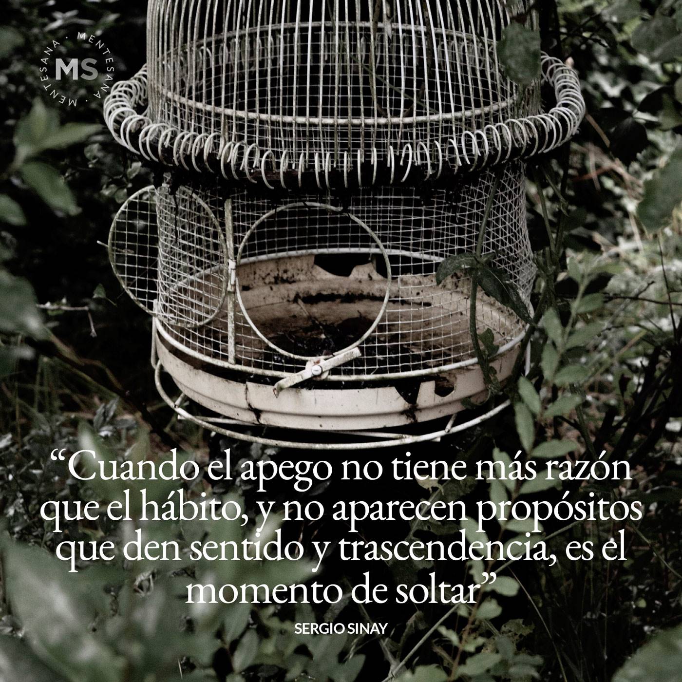9-FRASES-VIVIR-SIN-ATADURAS-FOTO+TEXTO8