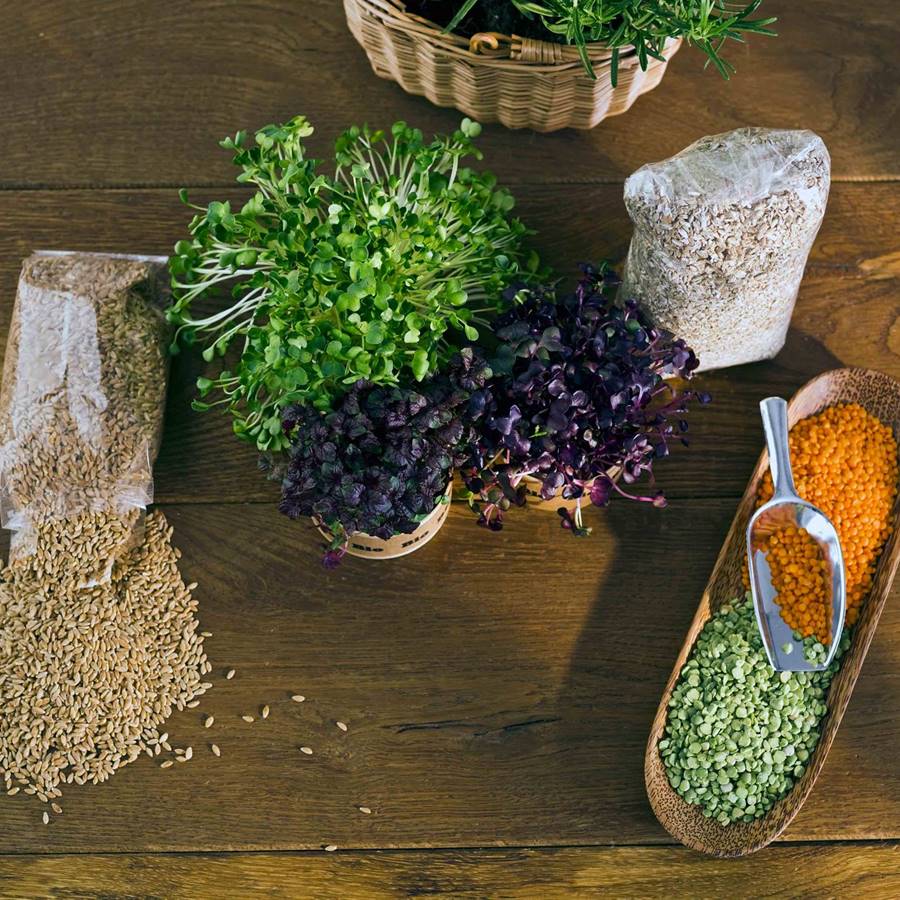 10 claves de la dieta macrobiótica