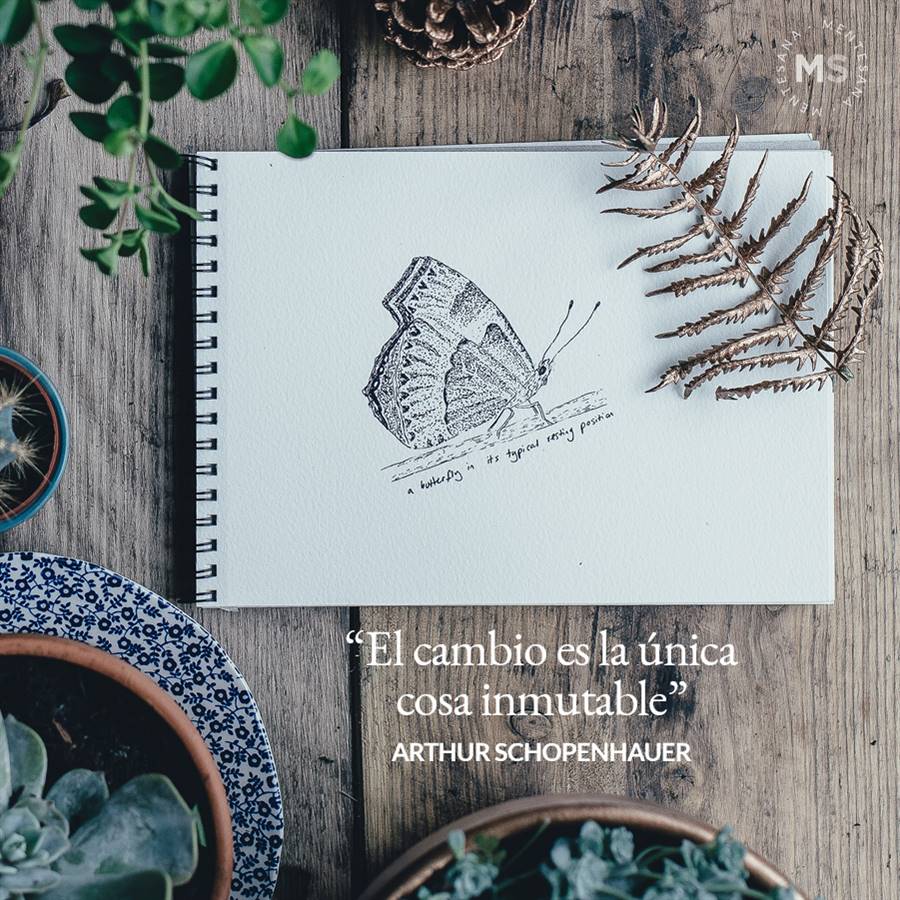 15 frases para cambiar el mundo