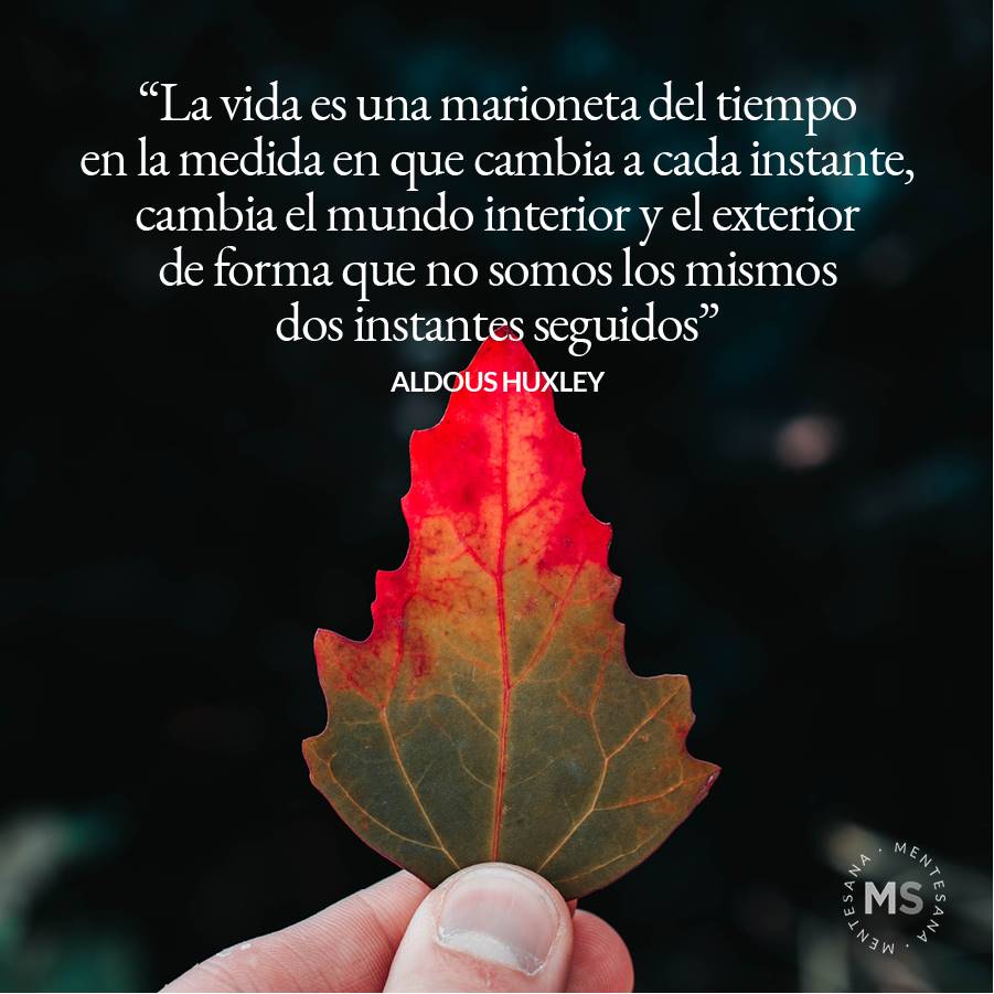 Introducir 90+ imagen frases cuando te cambia la vida