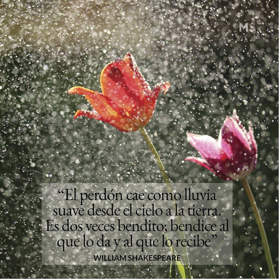 10-frases-perdonar-texto7
