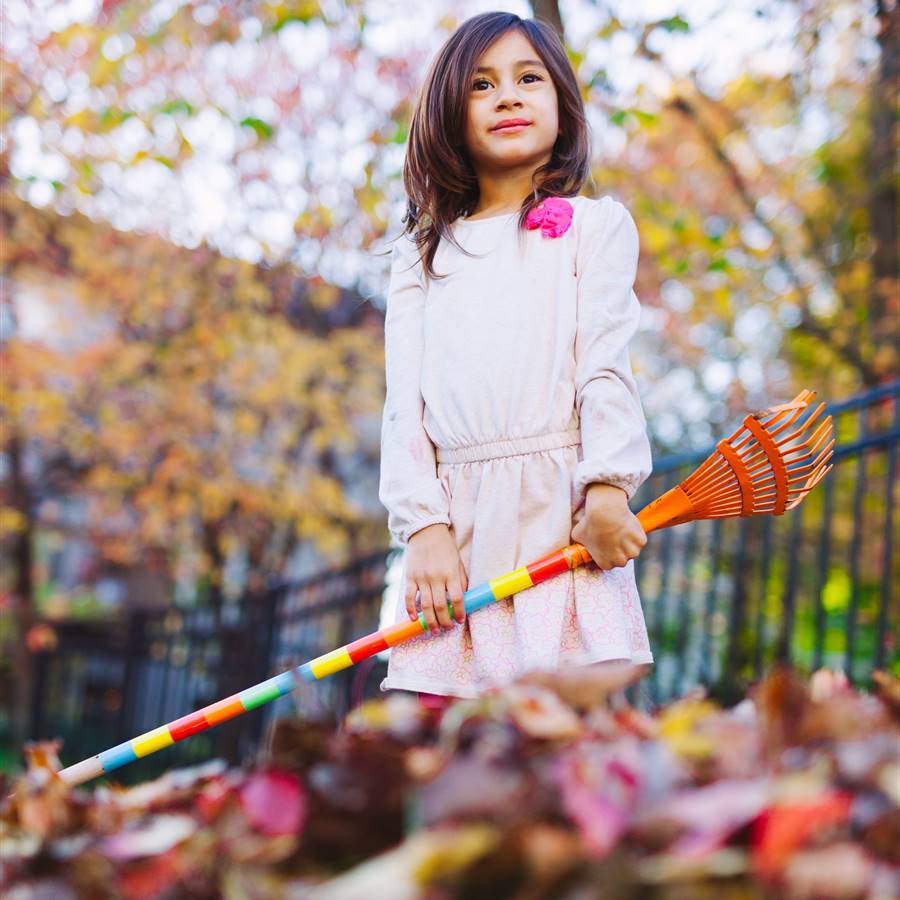 Jardín de invierno: 4 consejos para proteger a los pequeños animales