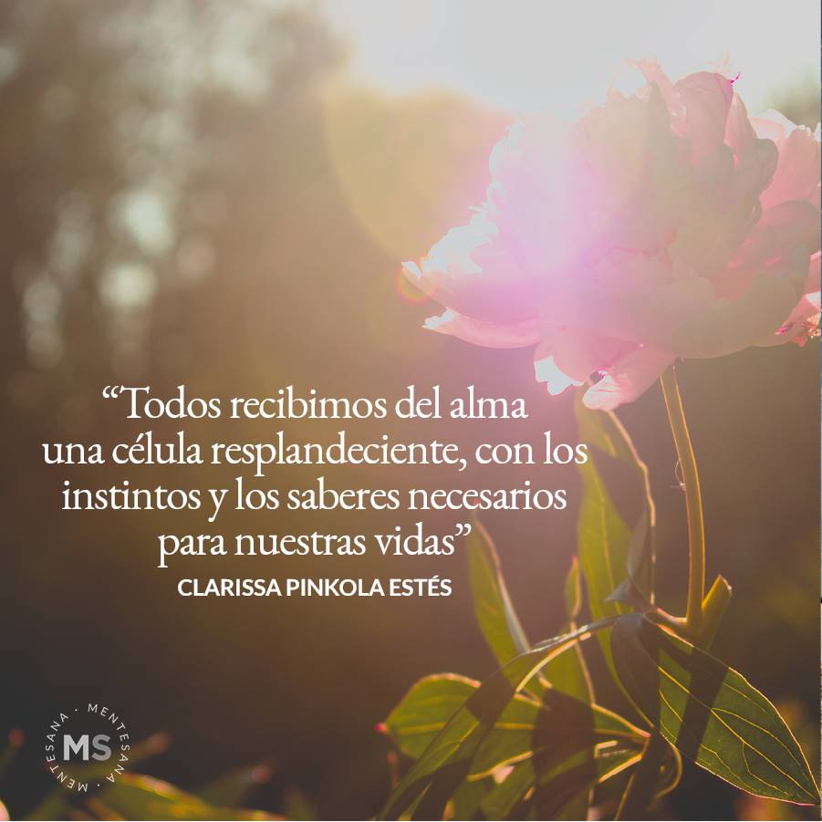 9-frases-verdad-texto4