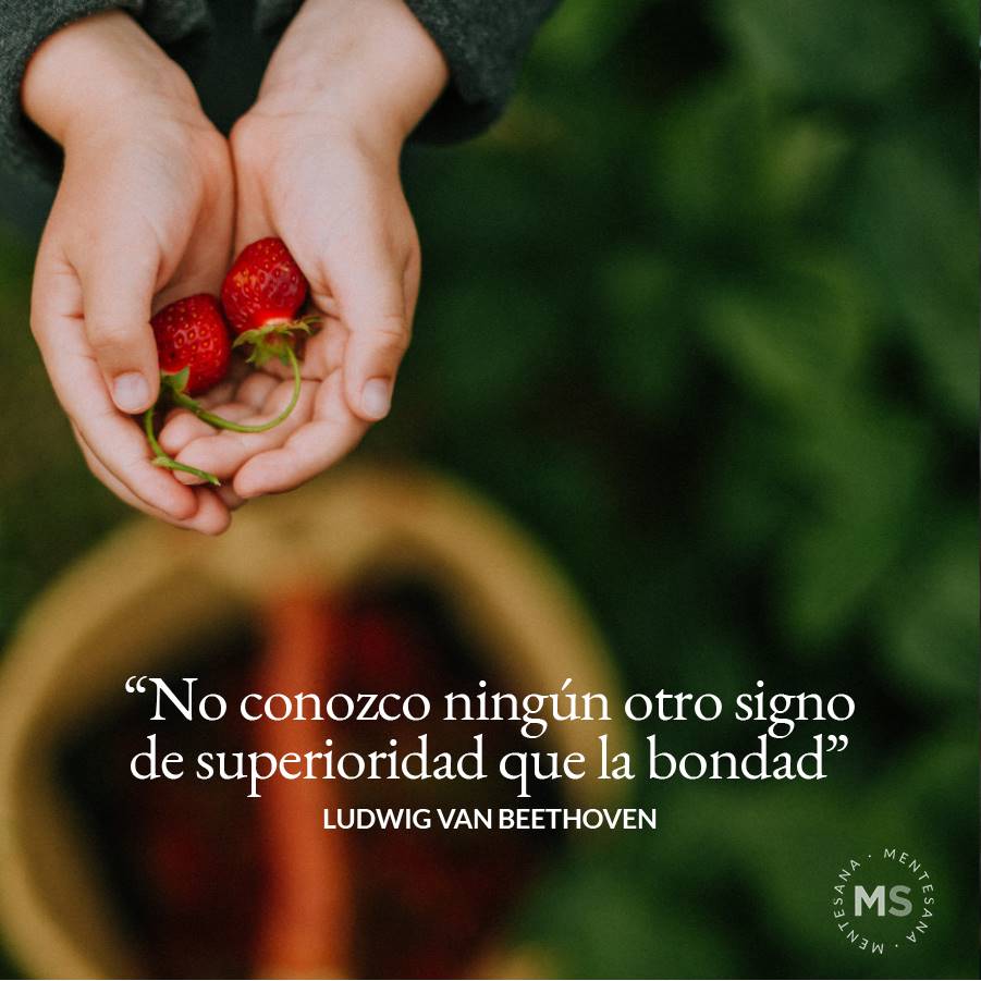 13-frases-mejor-persona-texto8