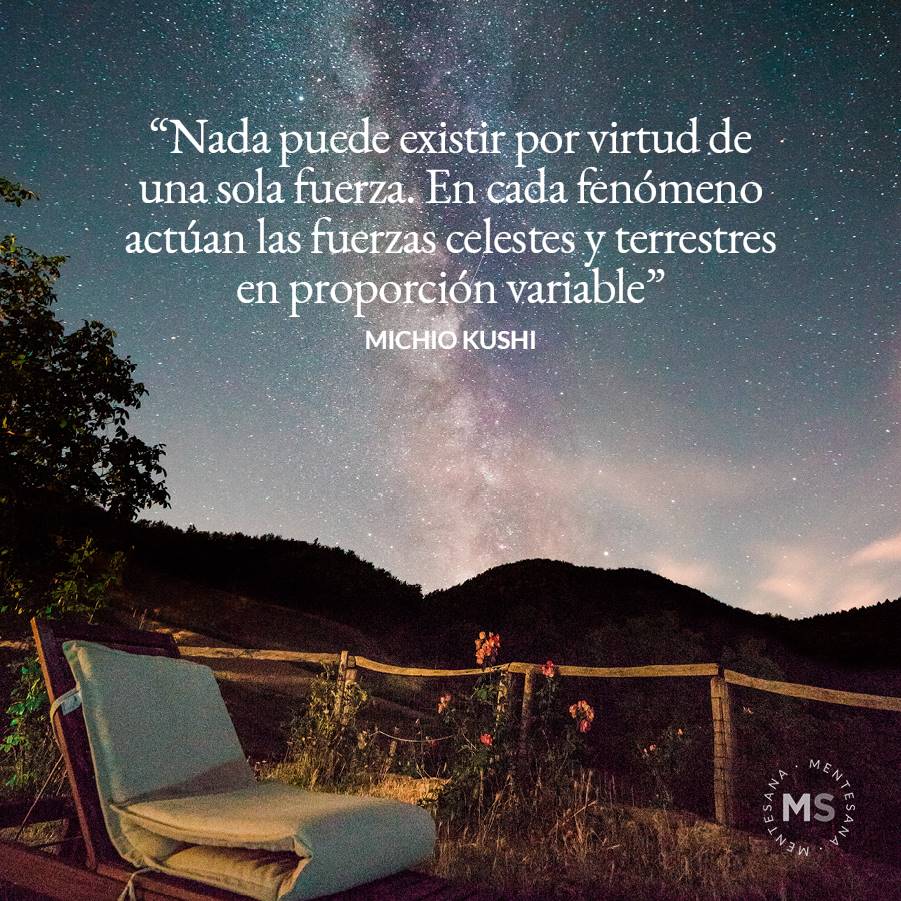 9-frases-verdad-texto9. 9. Nada puede existir por virtud de una sola fuerza. En cada fenómeno actúan las fuerzas celestes y terrestres en proporción variable. Michio Kushi