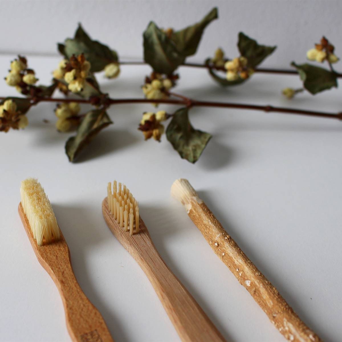 Cepillos de dientes naturales