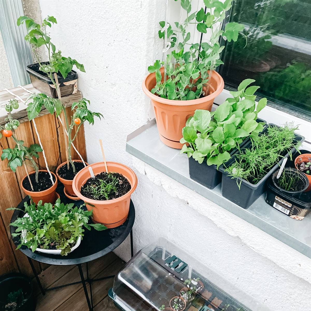 13 macetas (y maceteros) para llenar tu terraza de plantas