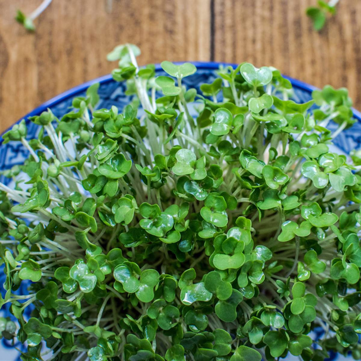 dieta verde