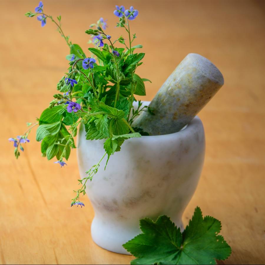 Mortero con plantas medicinales