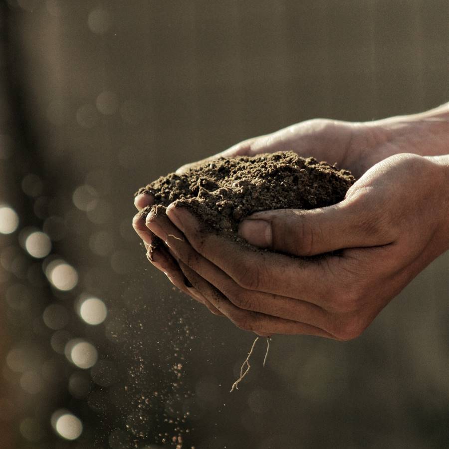 La FAO alerta de que la fertilidad del suelo amenaza la nutrición en el mundo