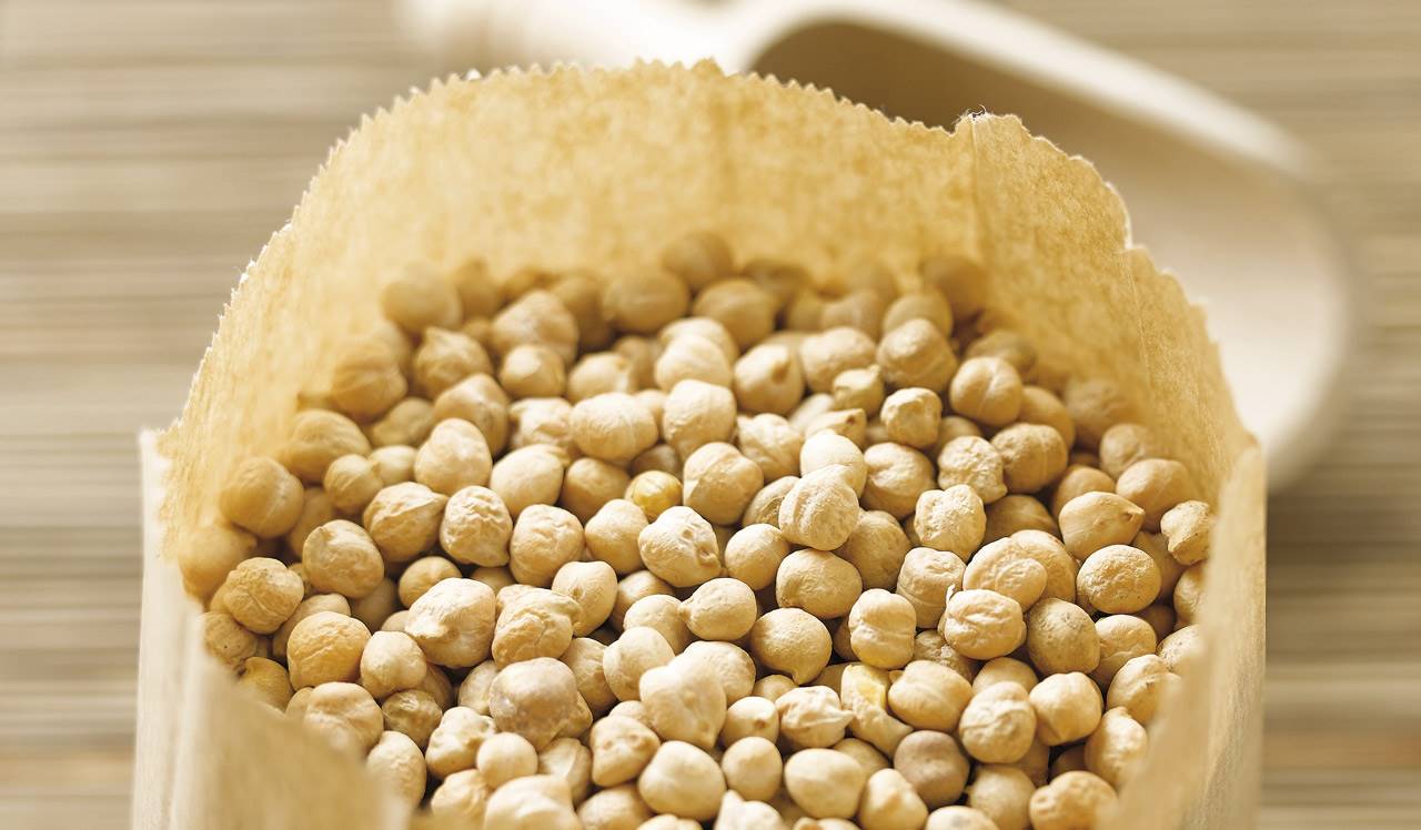 Garbanzo