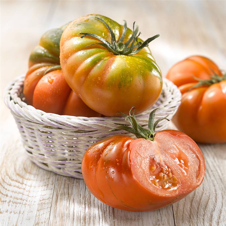 Tomate raf