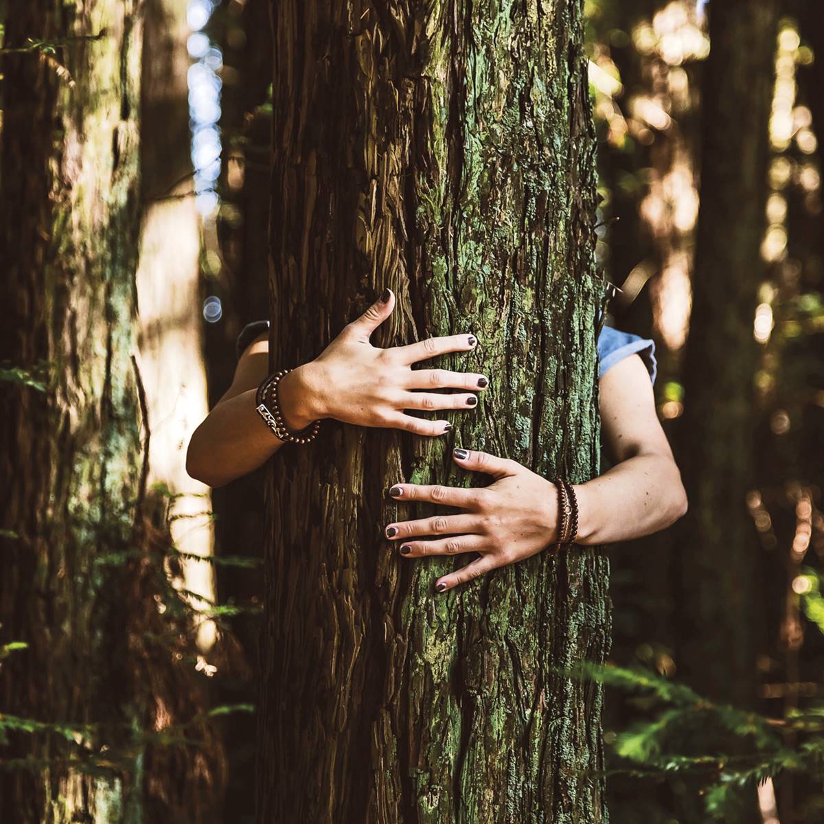abrazar arbol
