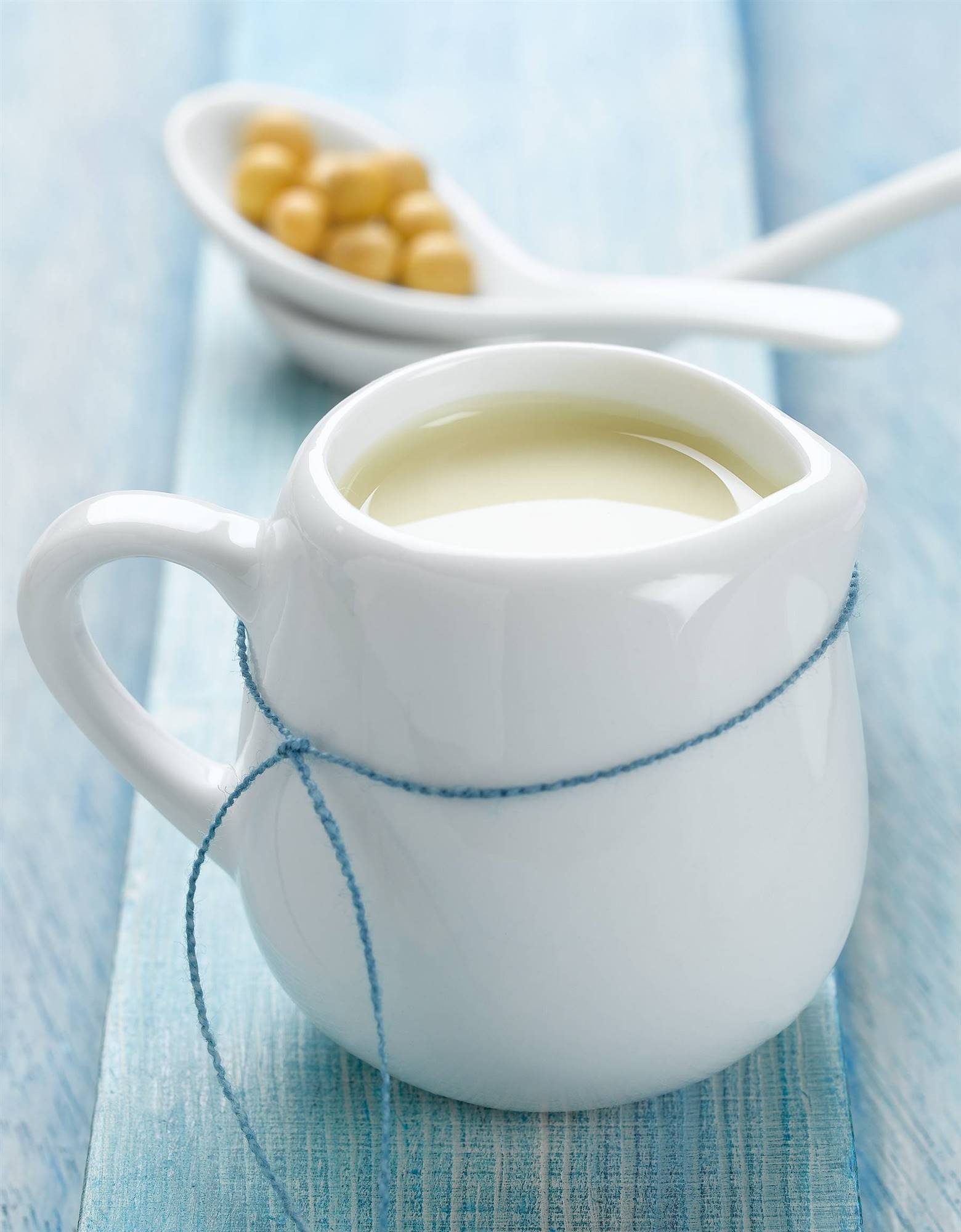 LECHE-DE-SOJA. Leche de soja