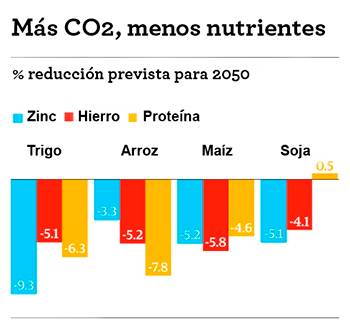 grafico nutrientes