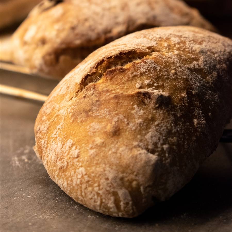 Aprovechar pan seco
