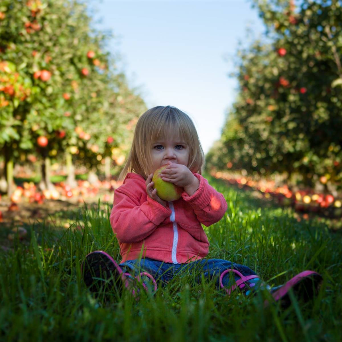 Cómo conseguir que un niño coma sano