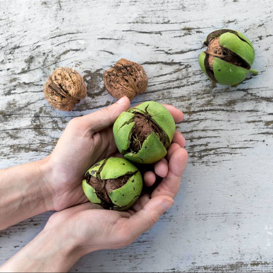 Cómo evitar los trombos de forma natural